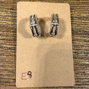 Silver Hoop Earrings